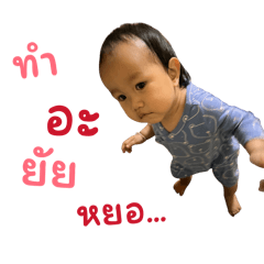 Px chi_20260223200150