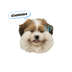 Noomnim_20260223210939