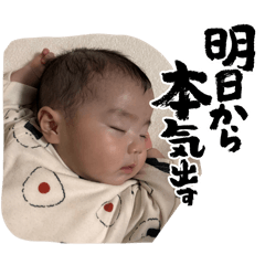 paaaaaan_20260224105351