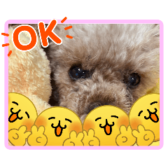 fukuline_20260224103914