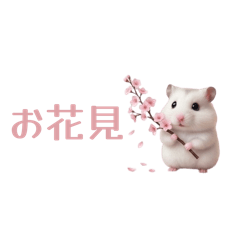 ayrihari_20260224104017