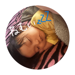 senyou_20260224105700