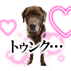 Charo_20260224104526