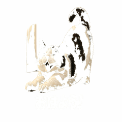 Realistic Morning Cats