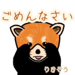 Rikizou's lesser panda