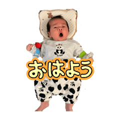 m28_20260224113108