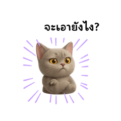 Mimie_20260223220510