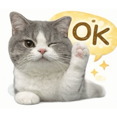 呆萌（招呼版）