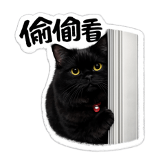 寶貝寵物們～集合！