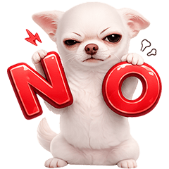 Chihuahua TuaTueng!! (No Text)