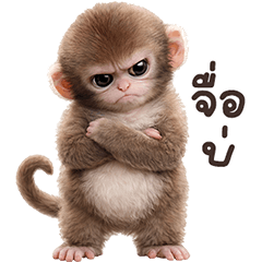 ❤️ลิงคุง ตัวตึง❤️(เว้าอีสาน)