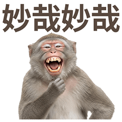 Taiwanese monkeys are so trippy!