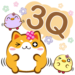 Pangmiau-Dialogue-3Q-