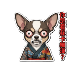 Barking Bad: Taiwan Gangster Dog Gang