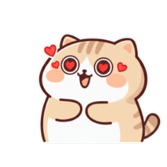 Playful Orange Tabby