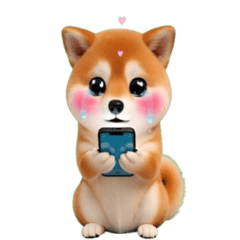 Q彈柴犬動起來！超實用日常動態