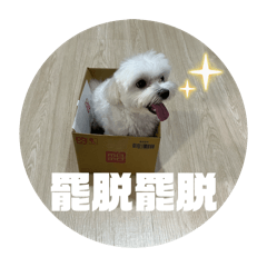 柚子的耍廢人生2