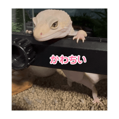 KIMIE_20260221120430