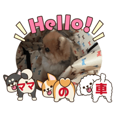 kentakun_20260221172647