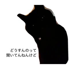 hasegawa_20260221190214