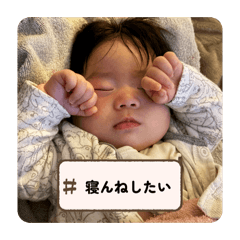 Marutaro_20260224121659