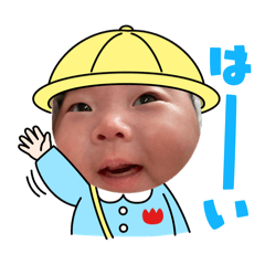 momo_20260224123529