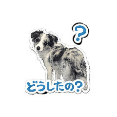 BorderCoreyorenostudio