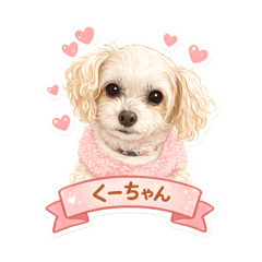 yuka_20260224171637