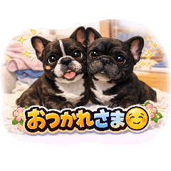 ichi_20260224