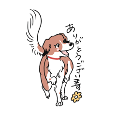 sumire_20260224171501