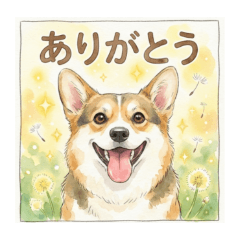 sorasan_20260224011215