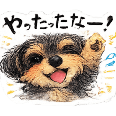 youyouyou_20260224164052