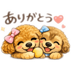 Pokapoka Wanko Studio_20260221203631