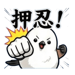 かわいい顔して極悪？シマエナガヤンキー