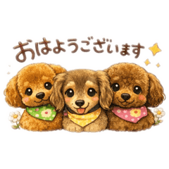 Pokapoka Wanko Studio_20260223213051