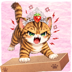 Cute Tabby Kitten Daily Stickers