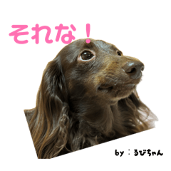 Makoto_20260224161147