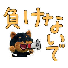 Wiggling Manchester Terrier  58