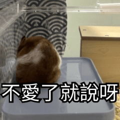 噗鼠樂園-酸湯魚的情勒小劇場