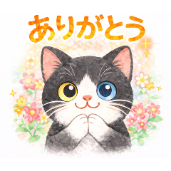 mickey_20260223214040