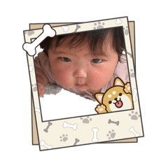 ikechi_20260224133628