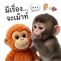 A busy day for a Japanese snow monkey