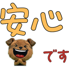 Polite Welsh Terrier  12