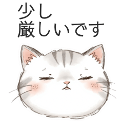 Polite Refusals by Observant Cat