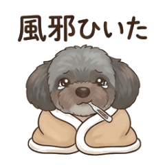 I hope Meewan gets well soon