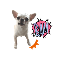 chiwa_20260224204310