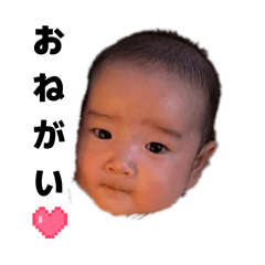 momo_20260224220950