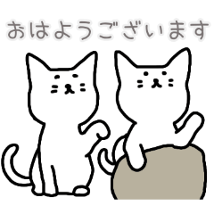 PAKAMOGOLY_20260224074928