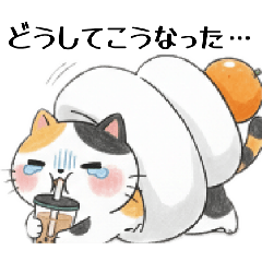 Motiko_20260224075501