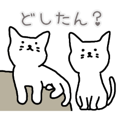 PAKAMOGOLY_20260224193603